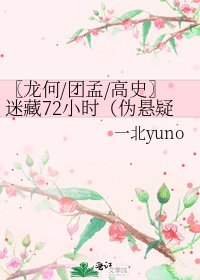 《〖龙何/团孟/高史〗迷藏72小时(伪悬疑)》