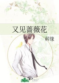 《又见蔷薇花》