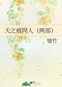《天之痕同人(两部)》