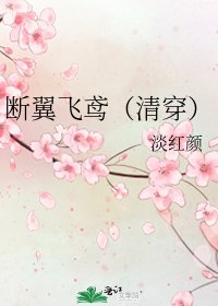 《断翼飞鸢(清穿)》