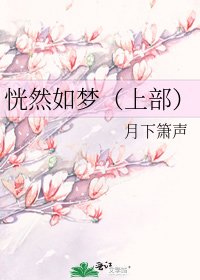 《恍然如梦(上部)》