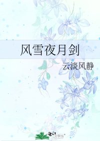 《风雪夜月剑》