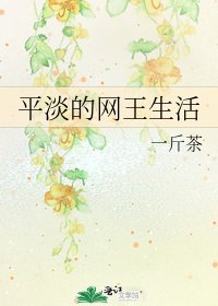 《平淡的网王生活》