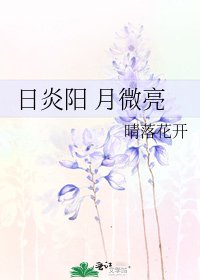 《日炎阳 月微亮》