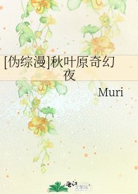 [伪综漫]秋叶原奇幻夜