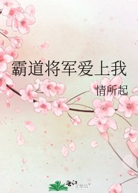 《霸道将军爱上我》