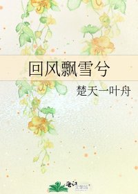 《回风飘雪兮》
