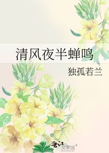 《清风夜半蝉鸣》
