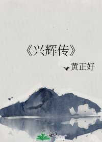 《兴辉传》