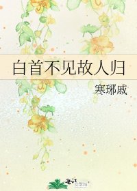 《白首不见故人归》