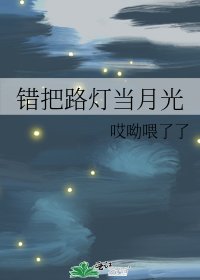 《错把路灯当月光》