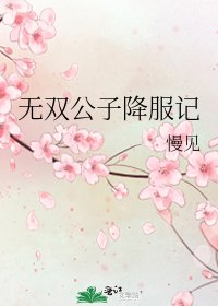 《无双公子降服记》