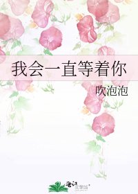 《我会一直等着你》
