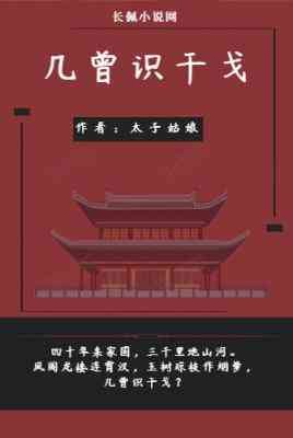 《几曾识干戈》