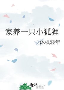 《家养一只小狐狸》