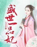 《盛世一品妃》