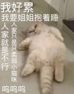 《霸道富婆爱上我》