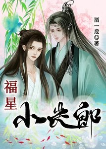 《福星小夫郎》