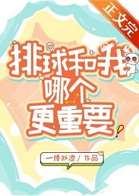 《(综漫同人)我和排球哪个更重要?》