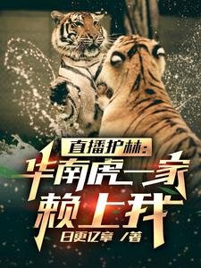 《直播护林:华南虎一家赖上我》