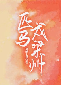 《匹马戍梁州》