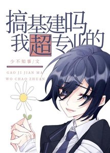 《搞基建吗?我超专业的!》