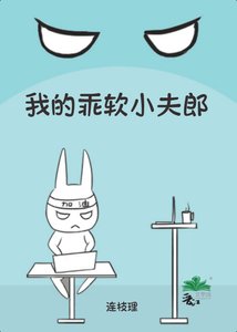 《我的乖软小夫郎》
