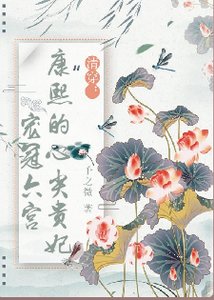 《清穿:康熙的心尖贵妃宠冠六宫》