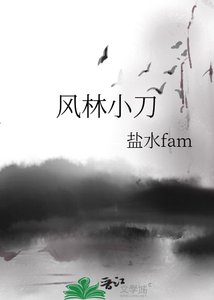 《风林小刀》
