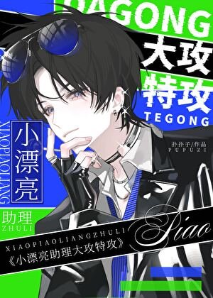 《小漂亮助理大攻特攻》