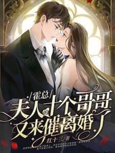 《霍总,夫人的十个哥哥又来催离婚了》