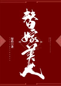 《雁字回时/替嫁美人》