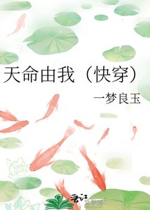 《天命由我(快穿)》