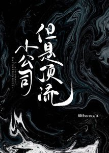 《小公司,但是顶流》