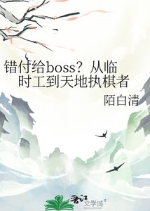 《错付给boss?从临时工到天地执棋者》