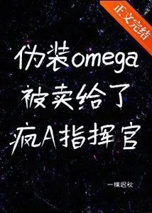 《伪装omega被卖给了疯A指挥官》