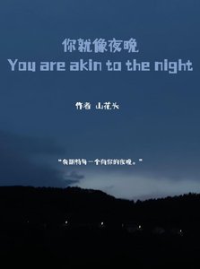 《你就像夜晚》
