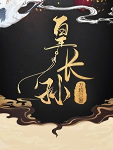 《三岁皇长孙的秘密》