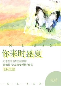 《你来时盛夏》