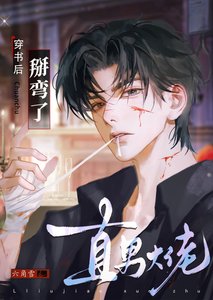 《穿书后掰弯了直男大佬》