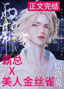 《雨幕巴洛克》