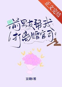 《前男友帮我打离婚官司》