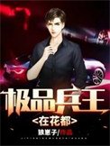《极品兵王在花都》