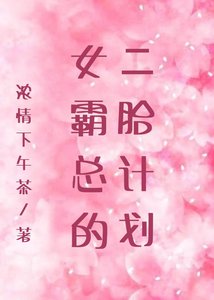 《女霸总的二胎计划》