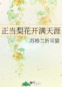 《梨花又开放/正当梨花开满天涯》