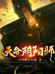 《天命阴阳师》