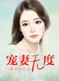 《宠妻无度》