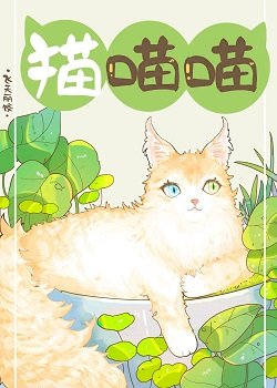 捡到流浪猫后被拿捏住了