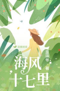 《海风十七里》