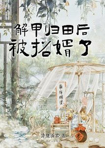 《解甲归田后,被招婿了》